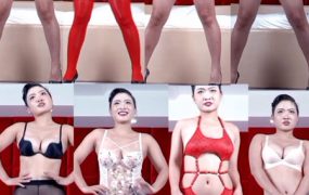 维拉诸葛亮-17V
