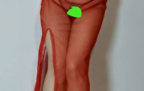 广场舞-波波姐 2022年12月-9v-1.60G