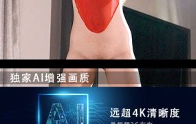 JM假面AI增强4K-NO47-NO2-20G+-