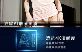 JM假面AI增强4K-NO49-NO3-20G+-