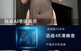 JM假面AI增强4K-NO56-2-20G+-