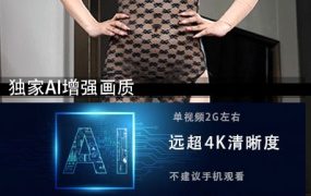 JM假面AI增强4K-NO60-6-20G+-