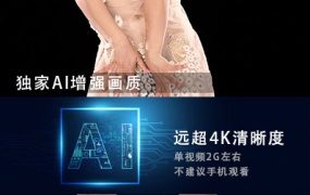 JM假面AI增强4K-NO71-5-20G+